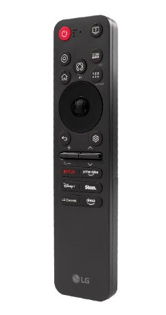 Television Remote Control - EBX30147104