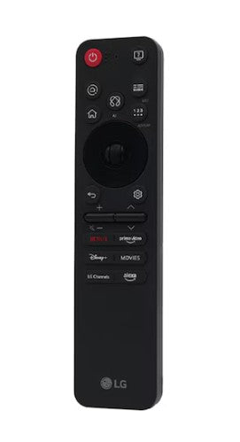 Television Remote Control - EBX30147103
