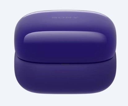 Headphone Charging Case (Violet) - A5071572A