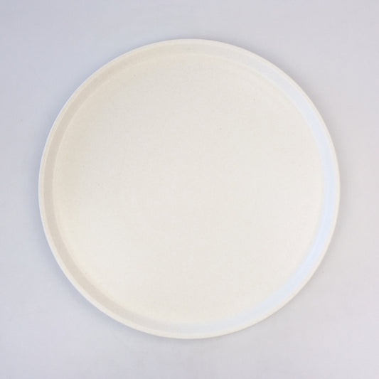 Panasonic Microwave Ceramic Turntable Plate - A06014X70QP